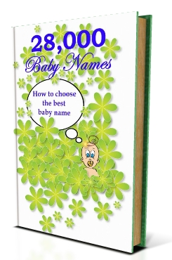 28,000 Baby Names